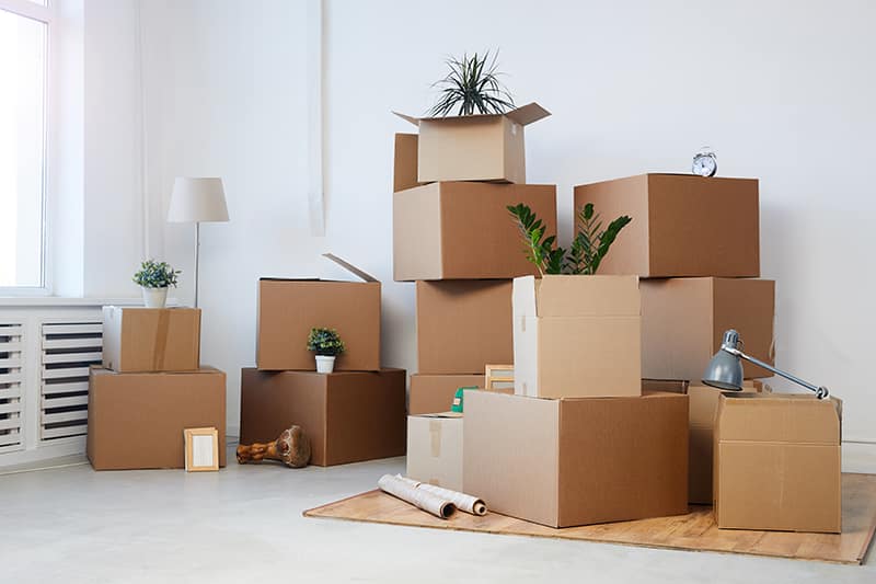 Cajas Organizadas